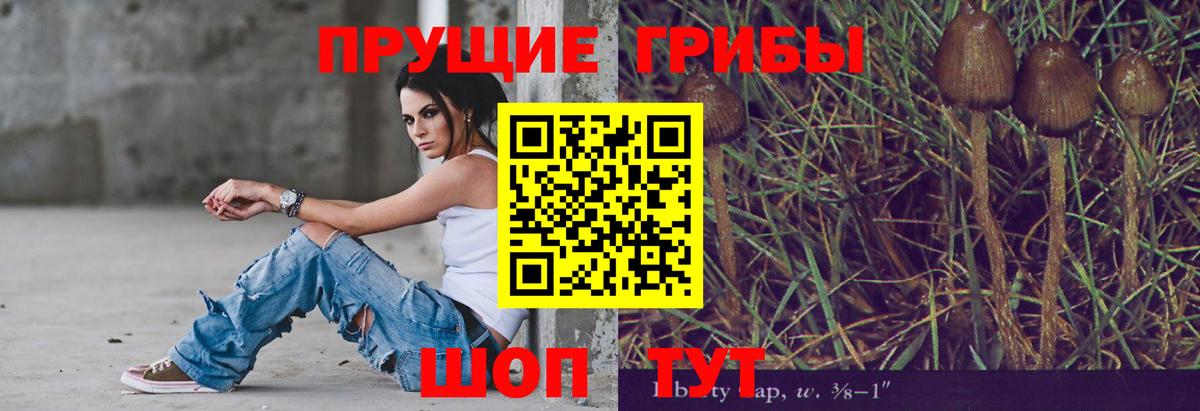 Псилоцибиновые грибы Cubensis Сальск