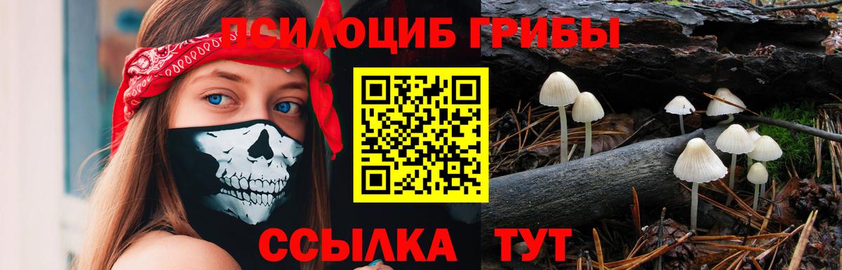 Сальск  Галлюциногенные грибы мицелий  Вход с VPN 