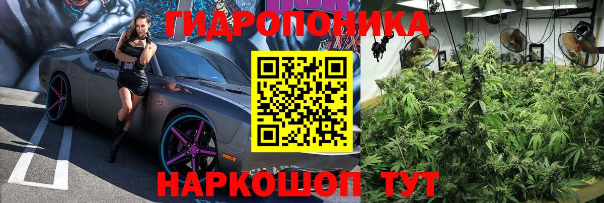 Бошки Шишки THC 21%  Канабис SATIVA & INDICA  Канабис конопля  Сальск  Каннабис конопля  Вход с VPN 